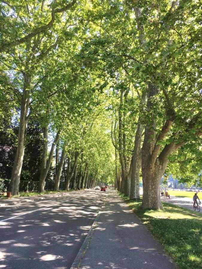 Annecy Center 2 Steps From The Lake Cozy And Renovated! Extérieur photo